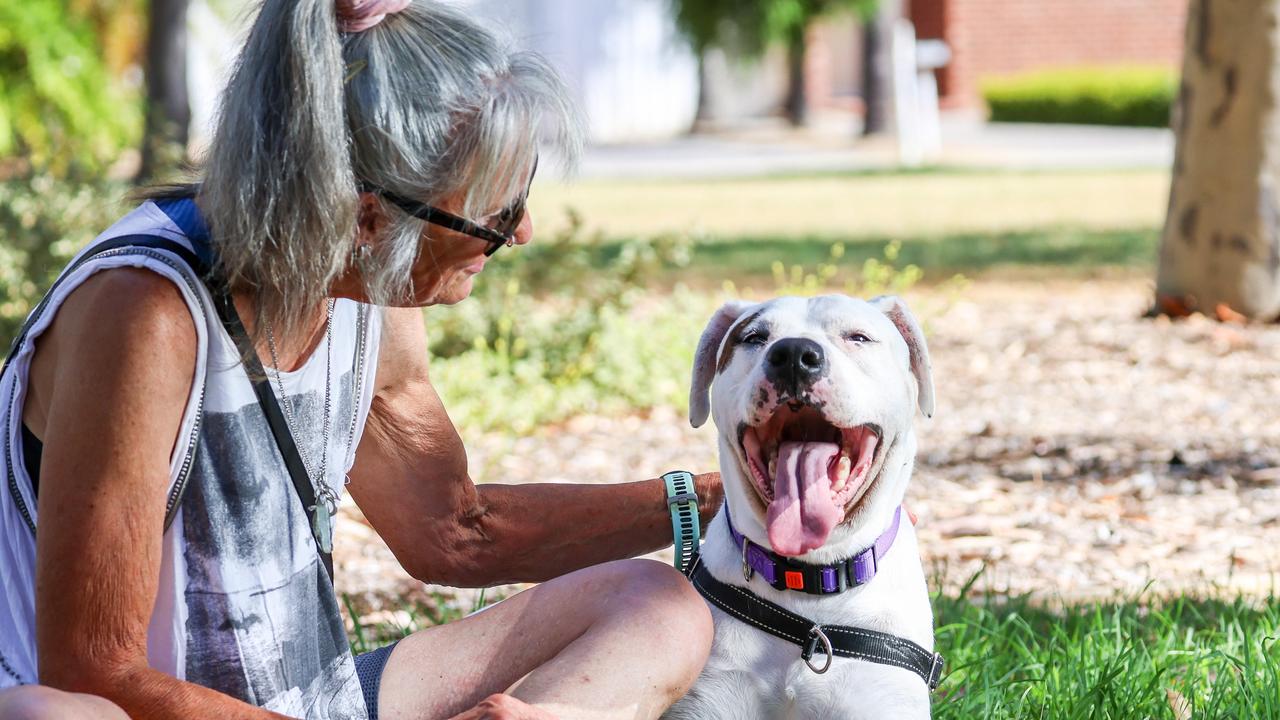 Rspca lonsdale deals careers