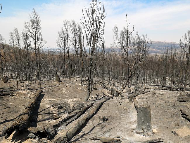 Bushfires swept across Raglan and Beaufort, North West of Ballarat. Picture: Ian Currie