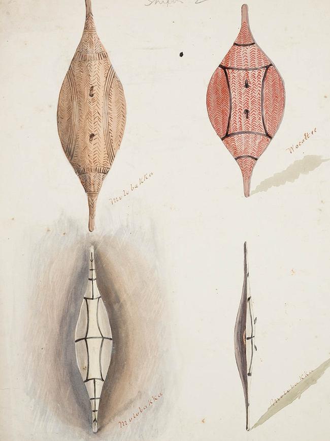 Cawthorne recorded the shields and weapons of the Kaurna people.