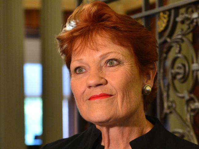 MELBOURNE, AUSTRALIA - NewsWire Photos DECEMBER 20TH, 2022: Pauline Hanson speaks to the media at Victorian Parliament. Picture: NCA NewsWire / Nicki Connolly