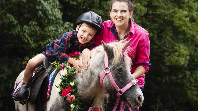 Pony power: How new horse business will change lives