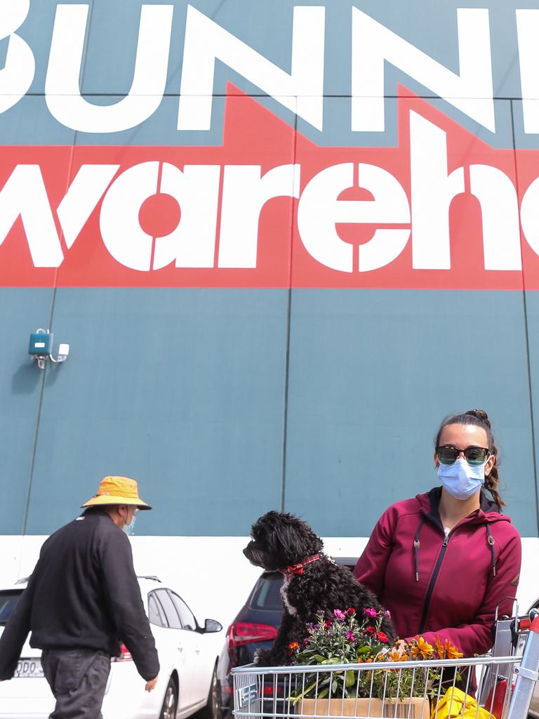 Another pup living his best Bunnings life. Picture: NCA NewsWire / Gaye Gerard