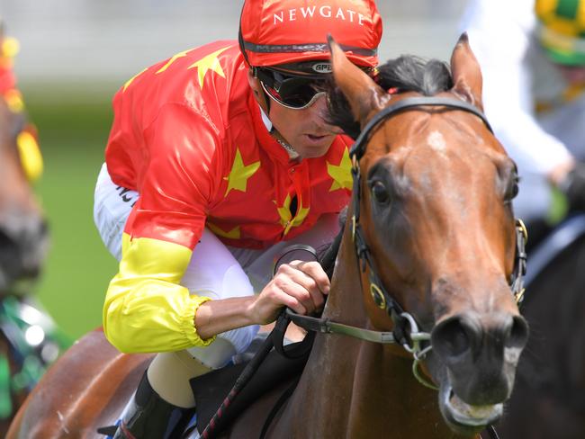 Jockey Nash Rawiller rides Rulership to victory in race 1, the $2m Inglis Millennium In 14 Days Handicap, during Carrington Stakes Day at Royal Randwick Racecourse in Sydney, Saturday, January 25, 2020. (AAP Image/Simon Bullard) NO ARCHIVING, EDITORIAL USE ONLY