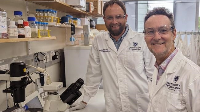 University of Queensland researchers Nathan Palpant and Glenn King are leading the world-first research. Picture: Supplied