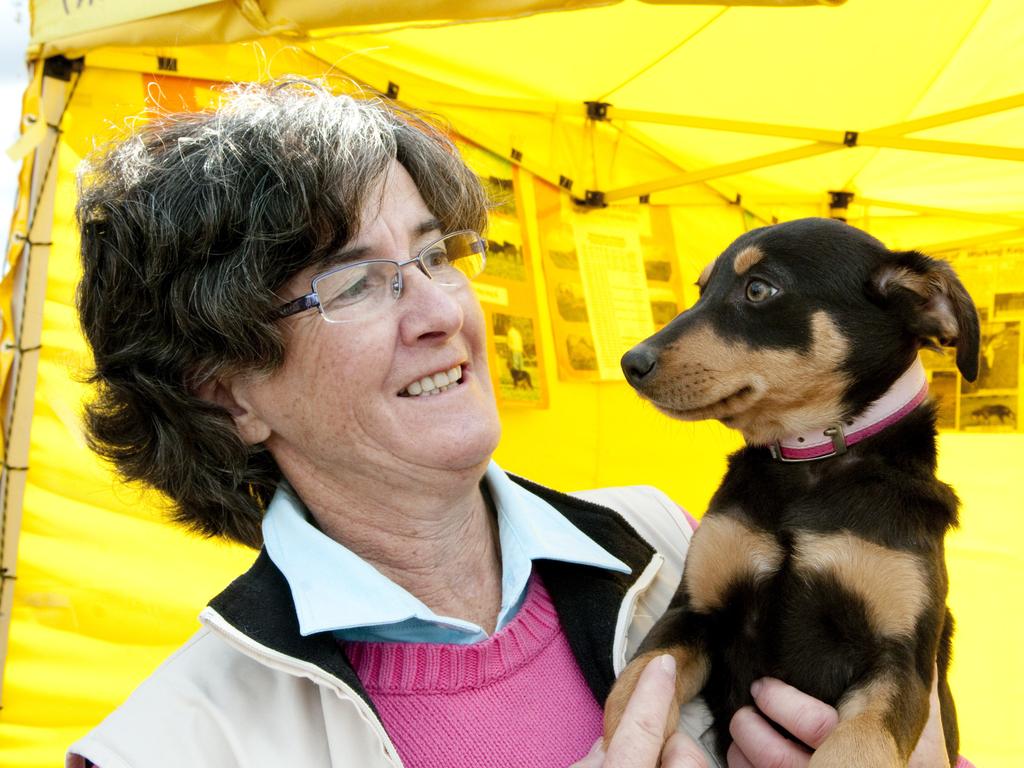 Kate Austin from Working Kelpies of Kirkcaldy at Farmfest. Photo: Nev Madsen / The Chronicle