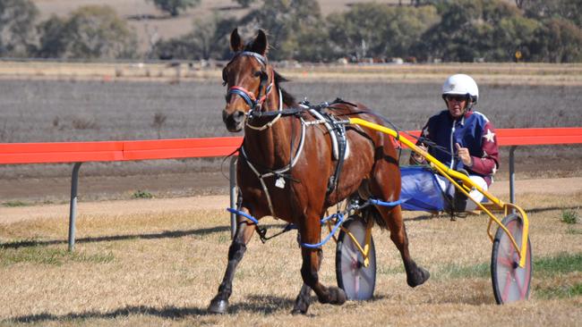 Dayl March rides BG Three at Allman Park. Harness racing will return to Warwick for the first time in almost 50 years next month.Photo Michael Cormack / Warwick Daily News