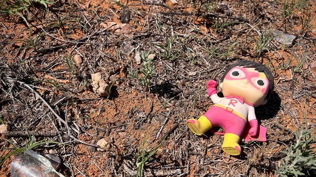 Doll sitting by broken alcohol bottles in Davenport. Picture: Emma Brasier