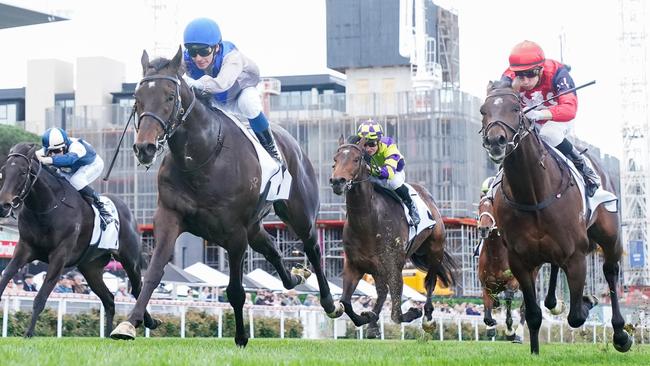 Angel Capital will chase back-to-back wins when the exciting three-year-old runs in the Group 3 Caulfield Guineas Prelude on Saturday. Picture: Racing Photos via Getty Images.