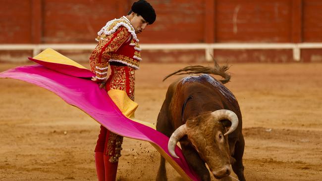 Lorenzo entices the bloody bull during his fight. Picture: Daniel Ochoa de Olza