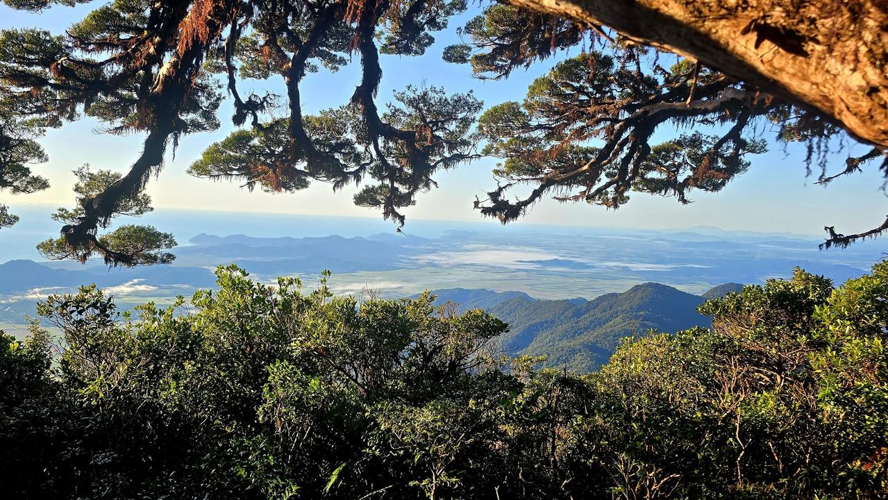 The view from Mount Bellenden Ker in Wooroonooran National Park.