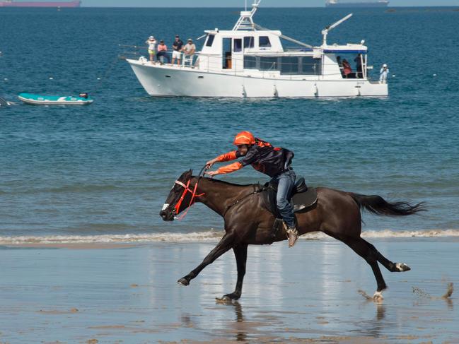 ‘Iconic’ beach horse races back with ‘fresh and exciting ideas’