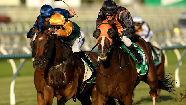 Racing continued at Eagle Farm with new measures introduced to minimise risk amid the coronavirus crisis. Picture: AAP