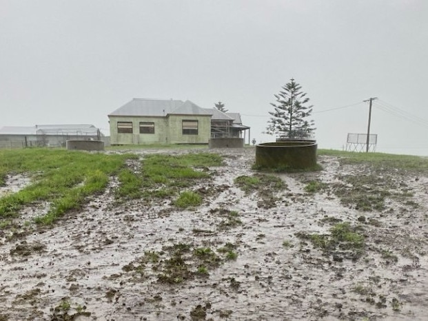 Nelsons Plains, near Port Stephens, after copping 111mm. Picture: Irene Ziemba