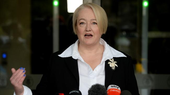 Opposition spokeswoman for scrutiny Louise Staley. Picture: Andrew Henshaw