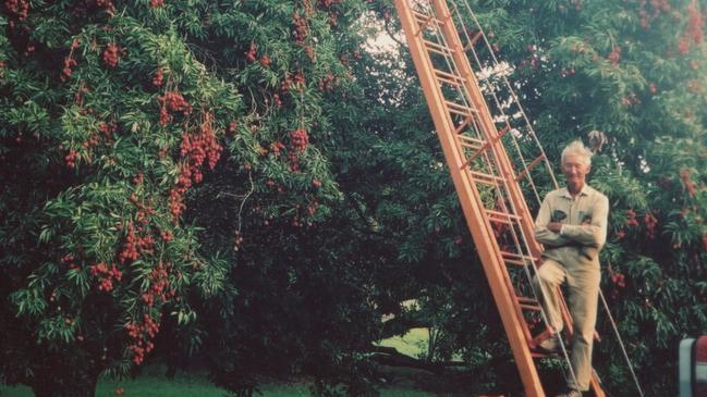 William on a Lychee ladder circa 2000s. Supplied