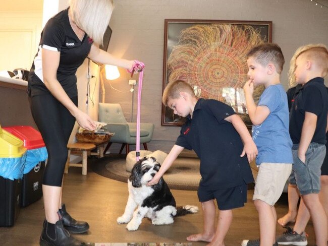 Taylor Wheeler started the Pink Paws program to help train dogs and to education children on dog safety. Picture: Supplied