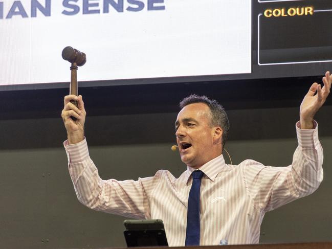 Auctioneer Grant Burns at the Magic Millions Gold Coast Yearling Sales - Day 2. 10 January 2019. Picture credit: Magic Millions.