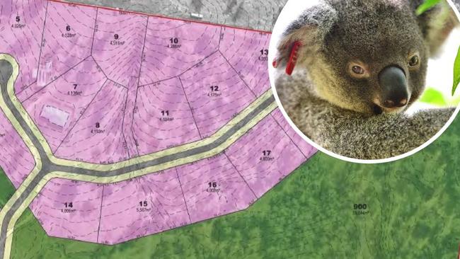 Hillscorp Sounds Pty Ltd has appealed Gympie Regional Council’s rejection of its proposed 19-lot subdivision at Jones Hill, saying the project would not adversely impact the environment and koala habitat as claimed by the council in its rejection notice.