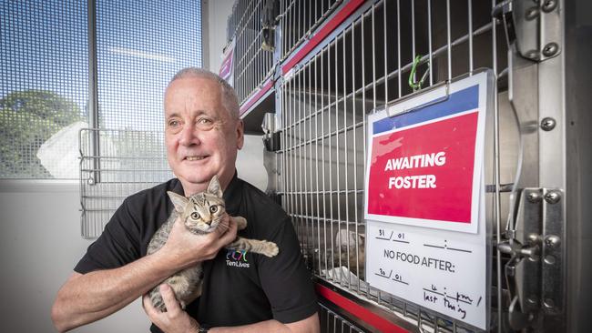 Ten Lives Cat Centre CEO Noel Hunt with Juke.  Picture: Chris Kidd