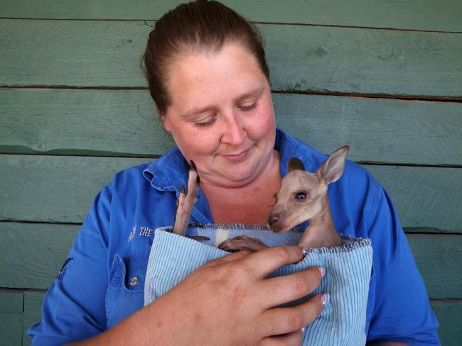 Wildlife carer Bryanna Carter with a joey saved from the fires. Picture: Liam Kidston