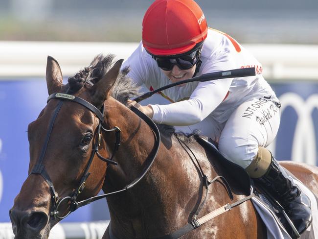 Mushaireb returned to form with a tough win on the Kensington track.