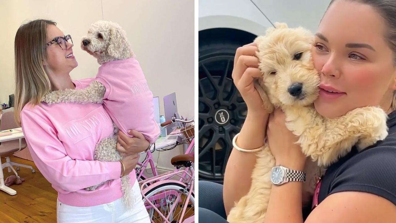 Mia Plecic with Honey (left) and Maple as a puppy (right). Picture: Instagram / @miaplecic