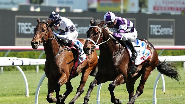 SYDNEY, AUSTRALIA - OCTOBER 26: Joao Moreira riding Lindermann  wins Race 6 Cincotta Chemist Craven Plate during "Spring Champion Stakes Day" Sydney Racing at Royal Randwick Racecourse on October 26, 2024 in Sydney, Australia. (Photo by Jeremy Ng/Getty Images)