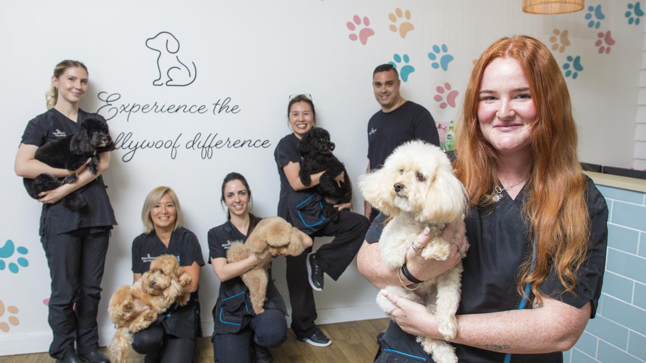 Blueberry facials, black salt coat treatments: Doggy spa named as best on the Coast