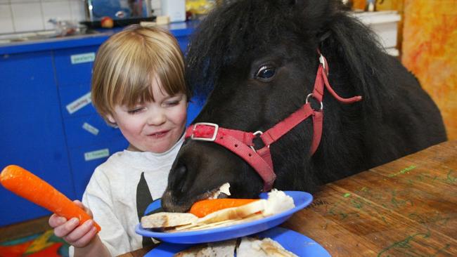 Oky Pinoky may be munching on a carrot in this adorable photo, but the miniature horse also spent a fair amount of time biting the poor people around him. Craig Borrow captured the moment he stole his buddy Casper Cartwright’s lunch.