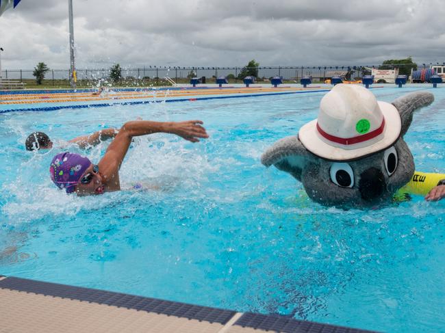 Jeanette Farrugia from Mackay SES and Blazer in the pool at the Mackay Aquatic & Recreation Complex for the Fire and Rescue Service, Movember event consisting of a 60km pool swim.Blazer is Inspector Jock Crome.Picture: Michaela Harlow