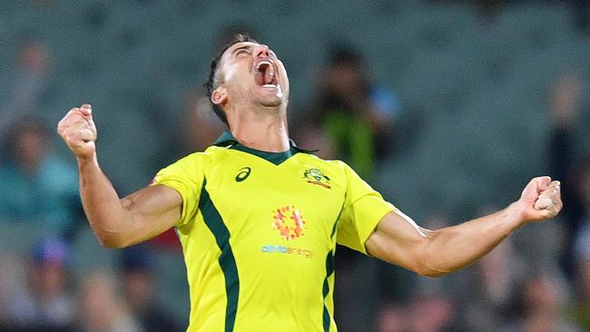 Marcus Stoinis of Australia reacts afer dismissing Dale Steyn of South Africa during the second One-Day International (ODI) match between Australia and South Africa at Adelaide Oval in Adelaide, Friday, November 9, 2018. (AAP Image/David Mariuz) NO ARCHIVING, EDITORIAL USE ONLY, IMAGES TO BE USED FOR NEWS REPORTING PURPOSES ONLY, NO COMMERCIAL USE WHATSOEVER, NO USE IN BOOKS WITHOUT PRIOR WRITTEN CONSENT FROM AAP