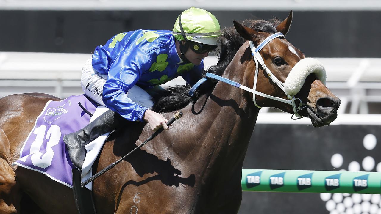 Emerging stayer ready to Rise for Melbourne Cup golden ticket