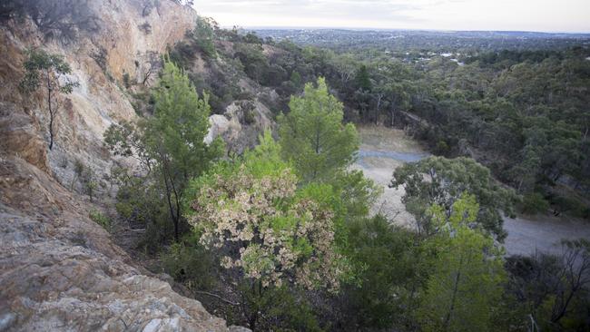 Anstey Hill Conservation Park- Park Cliff. Picture: Department of Environment and Water