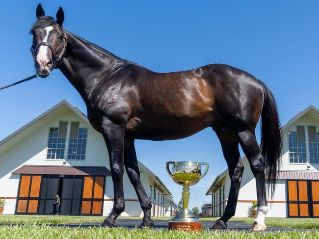 Nagambie, VIC: Grunt comes out to meet the Cup on its tour of Yulong Stud Farm. Picture: Jay Town