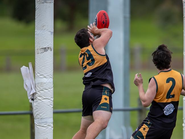 St John's are currently in top spot. Photo: VAFA Media.