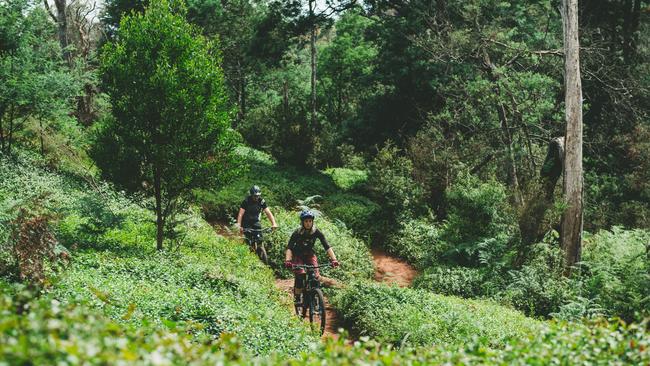 Located in temperate rainforest in North-East Tasmania, the Blue Derby Mountain Bike trails encompass some of the most stunning landscapes in Tasmania. Image: Stu Gibson