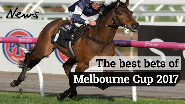 The best bets of Melbourne Cup 2017