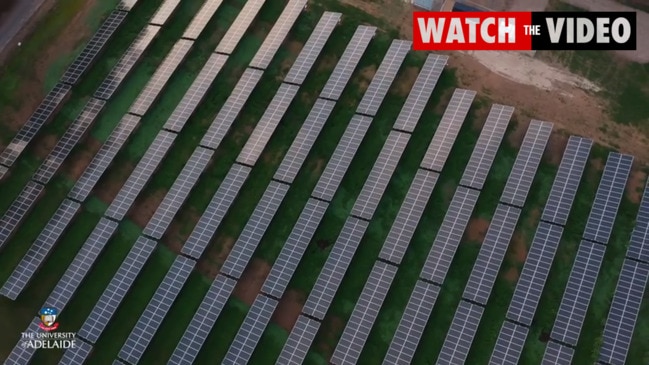 University of Adelaide solar farm at Roseworthy