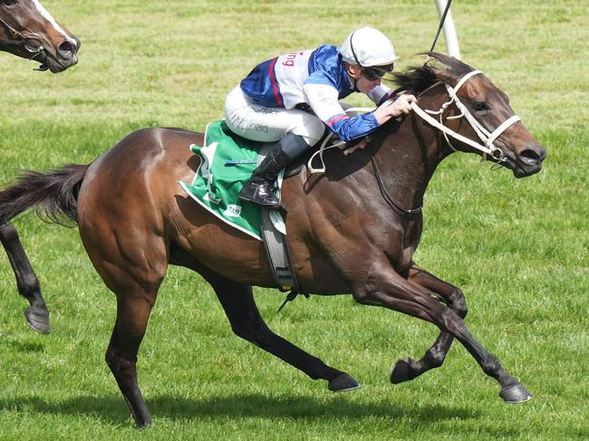 Atishu (NZ) ridden by James McDonald wins the TAB Matriarch Stakes at Flemington Racecourse on November 05, 2022 in Flemington, Australia. (Photo by Scott Barbour/Racing Photos via Getty Images)