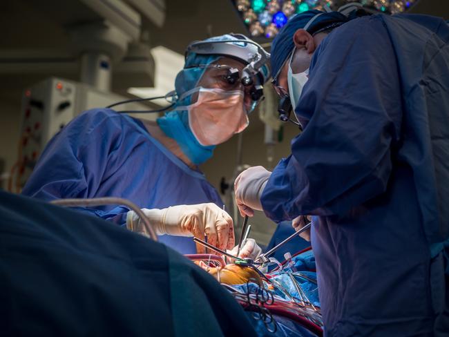 RCH surgeons Christian Brizard and Hani Mufti operate on Scarlett's heart. Picture: Jake Nowakowski