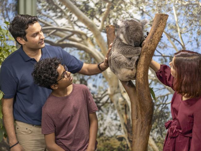 Featherdale Wildlife Park. Picture: Destination NSW