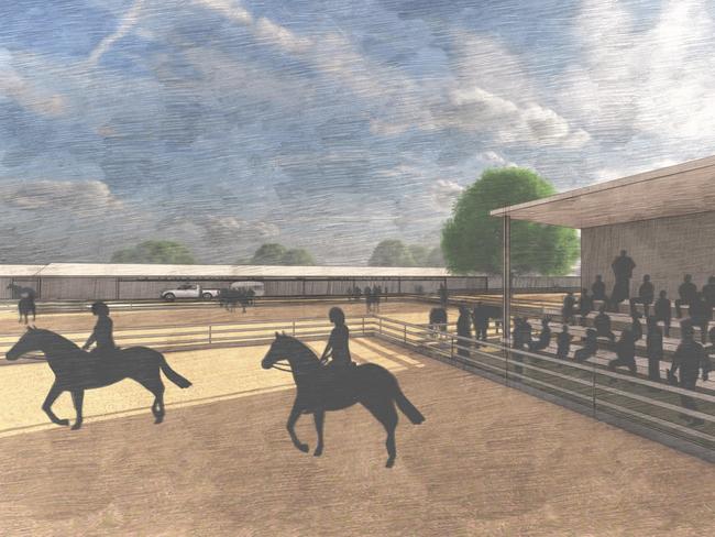 An artist's impression of the Hawthorne Rodeo Park masterplan. Photo: Clarence Valley Council