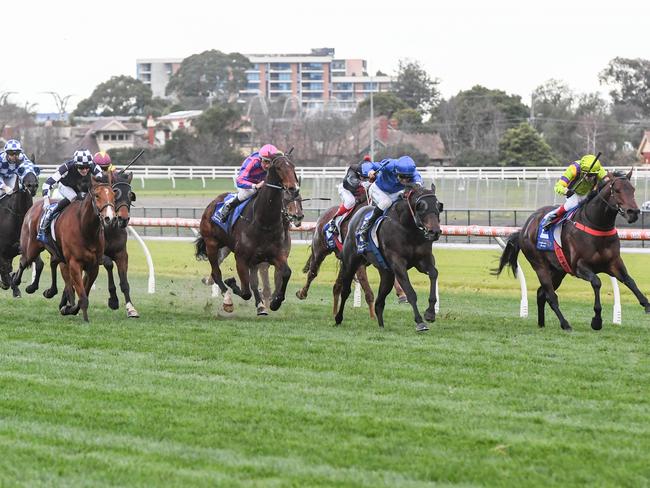 Ingratiating ridden by Blake Shinn wins the The Big Screen Company Bletchingly Stakes  at Caulfield Racecourse on July 22, 2023 in Caulfield, Australia. (Photo by Brett Holburt/Racing Photos via Getty Images)