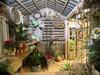 How to reinvent the humble garden shed into a dream retreat