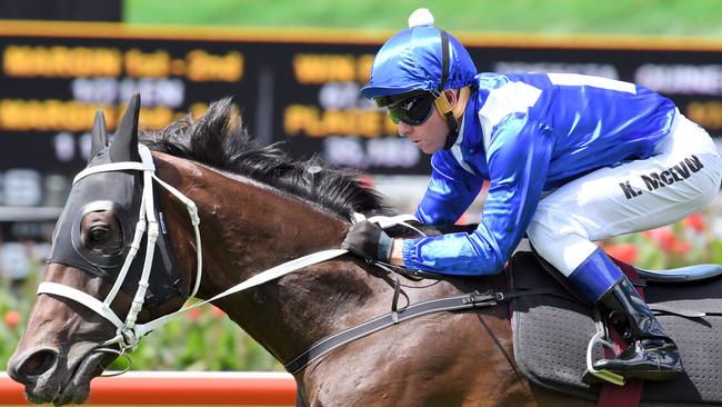 Star studded field for Golden Slipper at Rosehill Gardens Daily