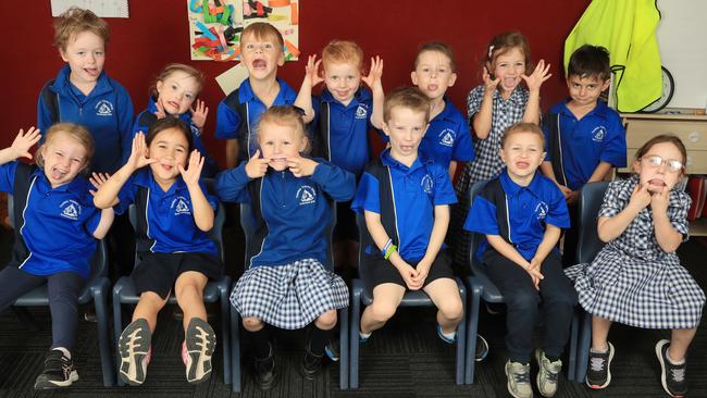 Teesdale Primary school My First Year Picture 1 Class : Foundation A Back Row From Left: Jack Cassar, Issey Deane, Louie Fiolet, Rosie Green, Karter Ince, Piper Kayler-Thompson, Aston Kostadinoski Front Row From Left: Marlee McMahon, Mia Miles, Georgia Ramm, Jed Schmidt, Charlie Simpson, Torah Wright Picture Mark Wilson