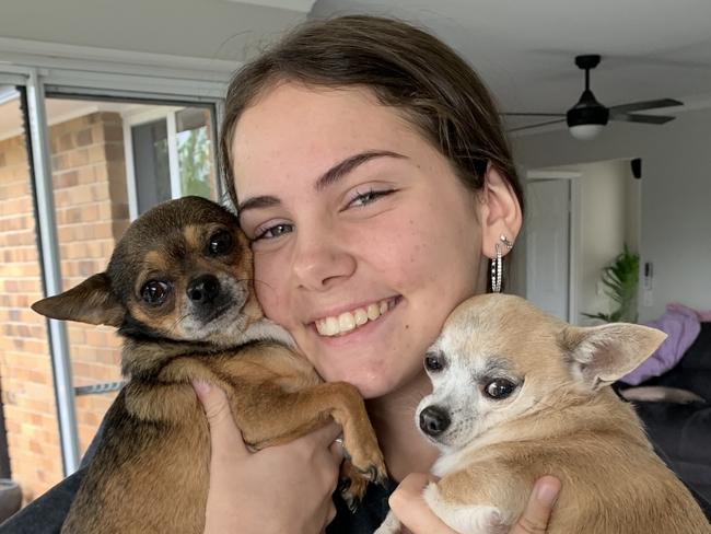 Sarah Reynold's daughter Tayla Reynold posing with the two dogs before they died shortly after being poisoned in her Banora Point, Tweed backyard on November 29, 2023. Picture: Sarah Reynolds