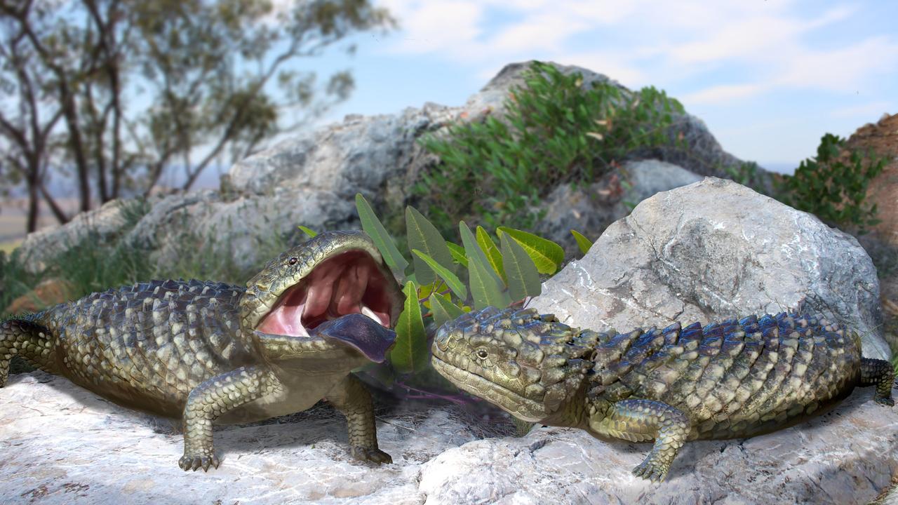 An artist impression of a prehistoric lizard discovered by researchers at Flinders University. Picture: AAP Image/Supplied by the Dr Kailah Thorn, Katrina Kenny