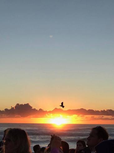 Gold Coasters on the beach for Anzac Day. Picture: Peter Mccartney