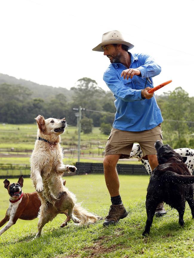 While Luke runs the dogs through lots of activities, they’re also learning vital social skills. Picture: Sam Ruttyn